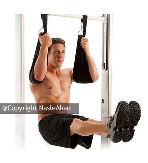 کمک بارفیکس ترموفیت مدل Ab Straps بسته 2 عددی