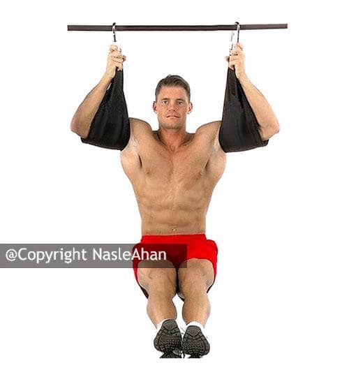کمک بارفیکس ترموفیت مدل Ab Straps بسته 2 عددی
